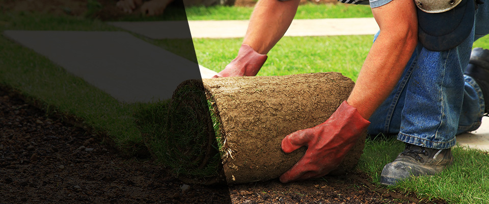Cut Off Landscapers
